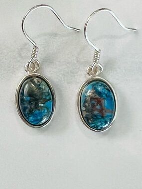 🆕 Imperial Jasper Drop Earrings 925 Silver made in USA 🇺🇸